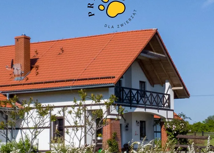 Storczykowe Wzgorze