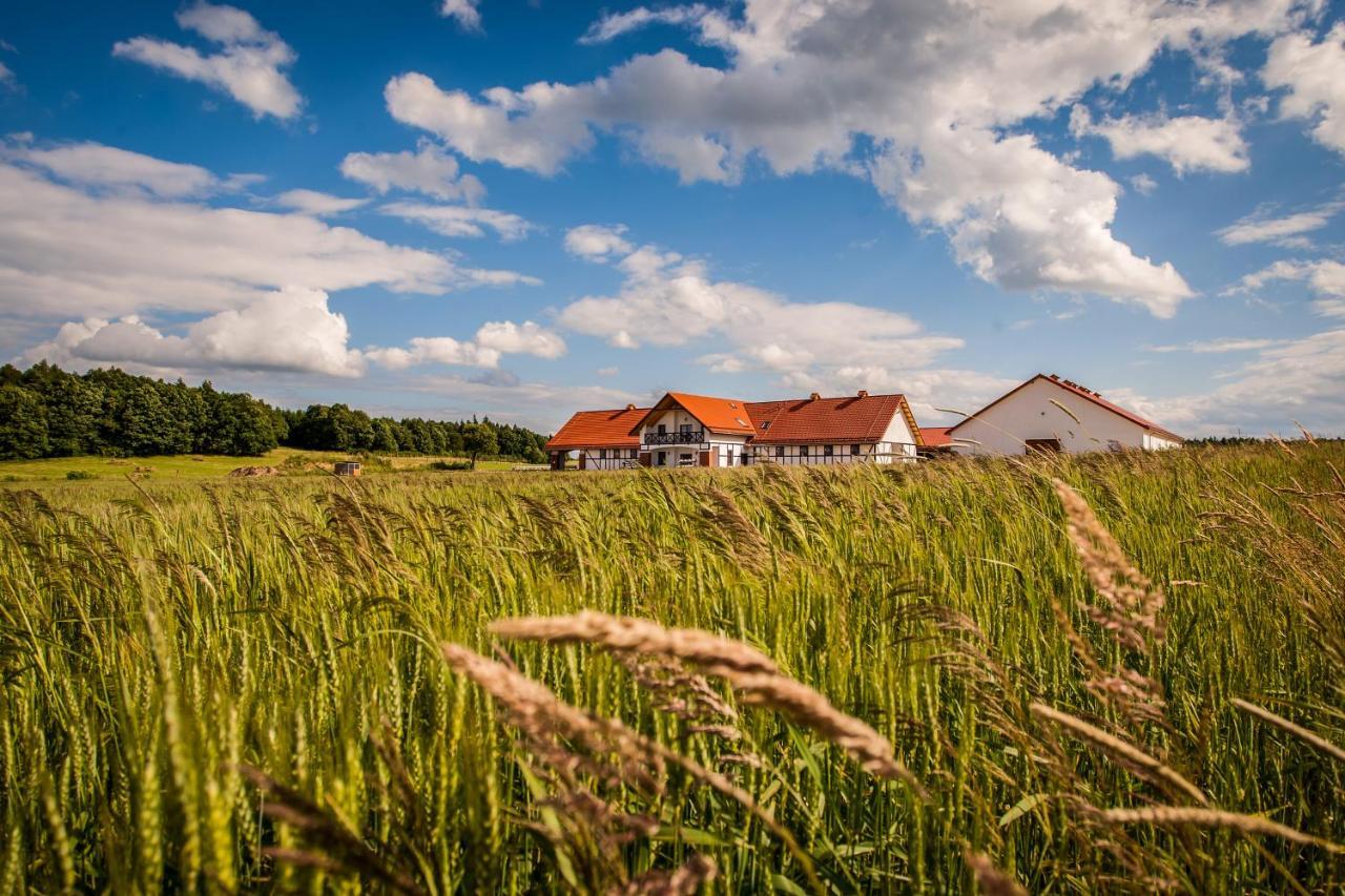 Storczykowe Wzgorze Farma *