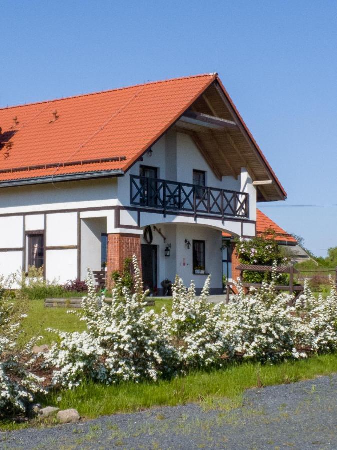 Storczykowe Wzgorze *