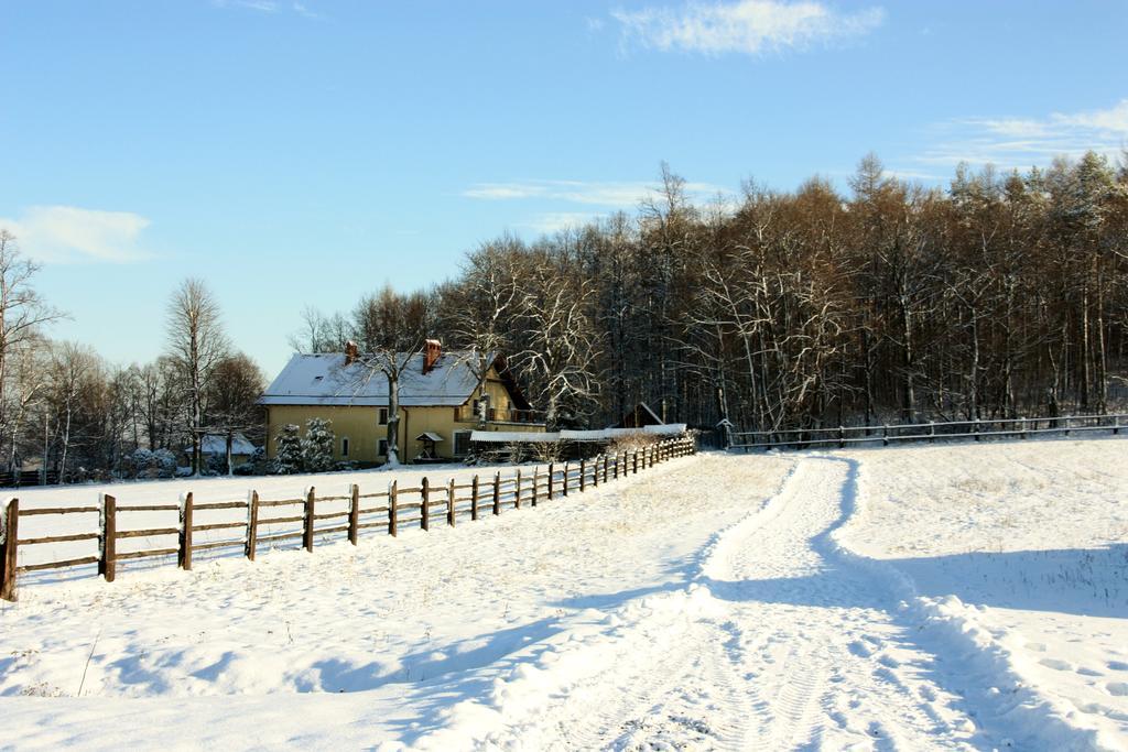 Storczykowe Wzgorze